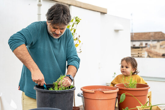 Parent Transplanting Plants While Baby Observes