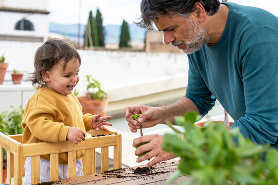 Father Teaching Baby Planting Seedling On Terrace