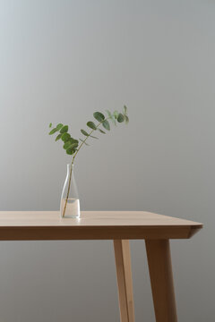 Minimal Table with Single Eucalyptus Stem