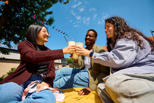 Friends Raising a Toast Outdoors