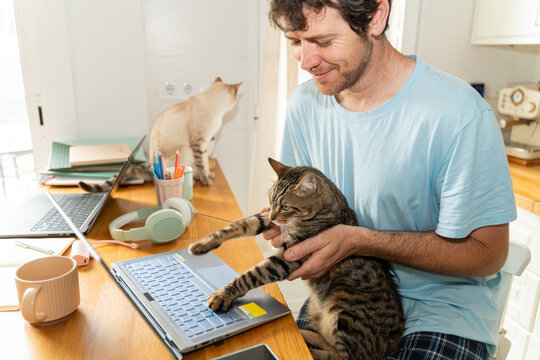 Man Works on Laptop With Cats in a Home Office 