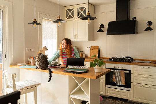 Woman Works at Home With Cat Kitchen 