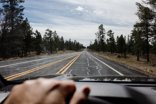 Road Tripping