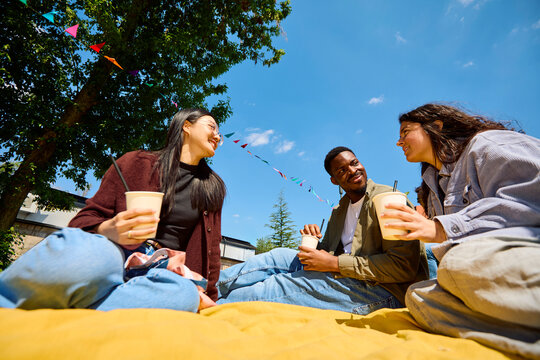 Friends Gather at Park Enjoying Drinks on a Sunny Day
