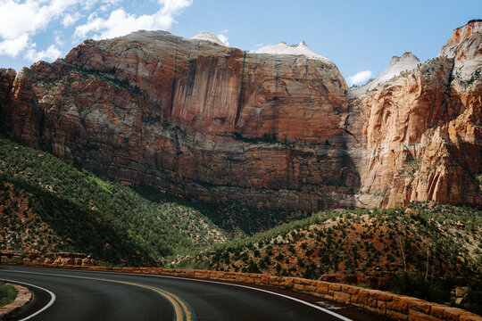 Zion Views
