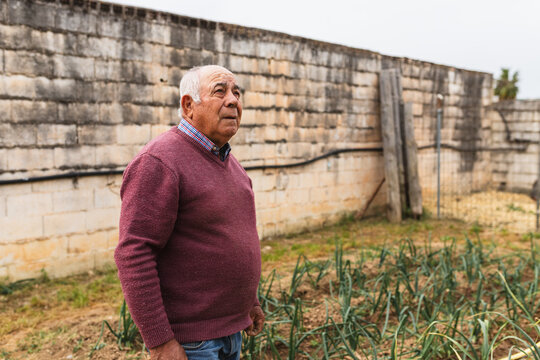 Contemplative Senior Farmer in His Backyard Garden