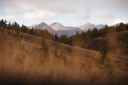 Mountain Range and Autumn Slopes 
