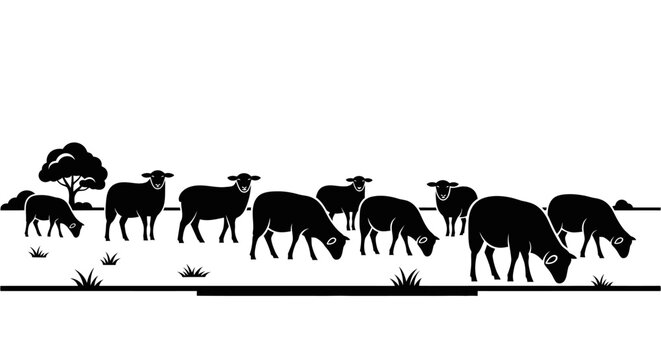 Silhouette of a flock of sheep grazing in rural field