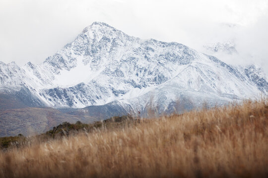 Snowy mountain peak behind a field 
