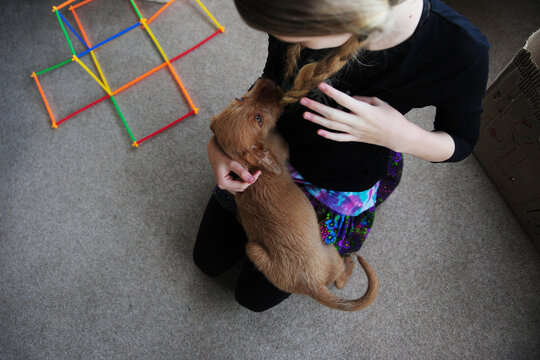 A girl plays with her new puppy