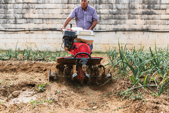 Motorized Rototiller Working Soil in Vegetable Garden
