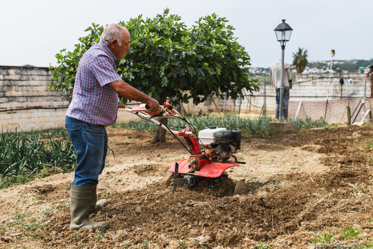 Preparing the Orchard Soil with Motorized Cultivator
