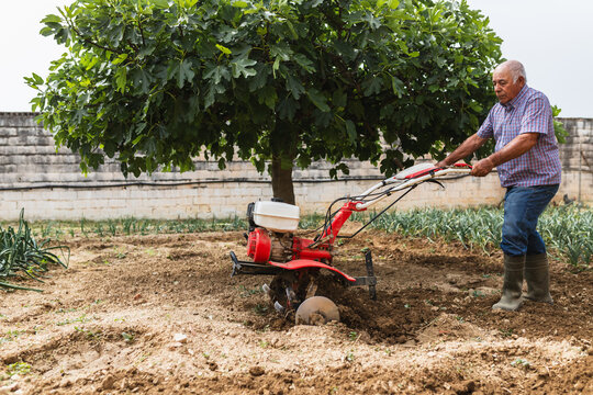 Traditional Farmer Working Soil Under a Large Fig Tree