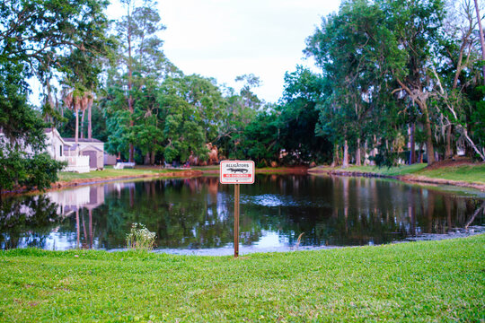 Beware Alligators 