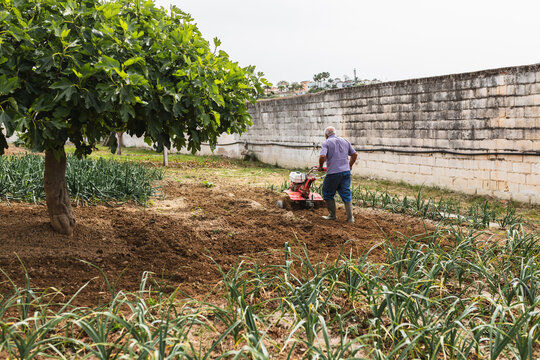 Senior Farmer Maintaining Large Vegetable Plot with Tiller