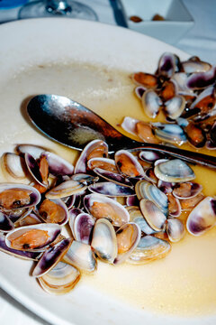 coquinas or tellinas al vino blanco on a white plate in Spain