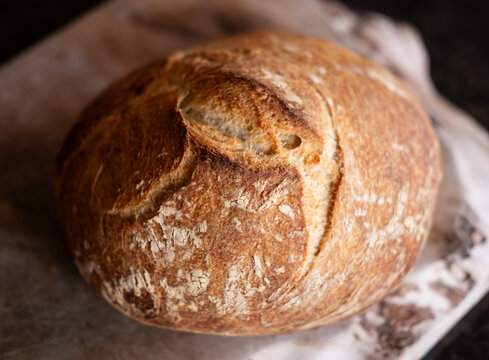 Freshly Baked Bread on a Kitchen Counter in the Morning Light