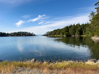 Fototapeta premium Tranquil water in a natural cove surrounded by trees on a sunny day