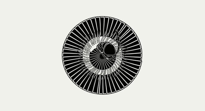 Minimalist centipede graphic curled in a circular spiral shape
