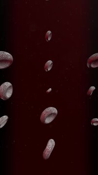 Ebola virus infecting and destroying red blood cells