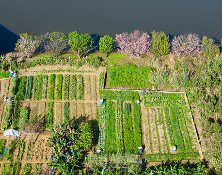 Aerial View of Riverside Farm with Cherry Blossoms