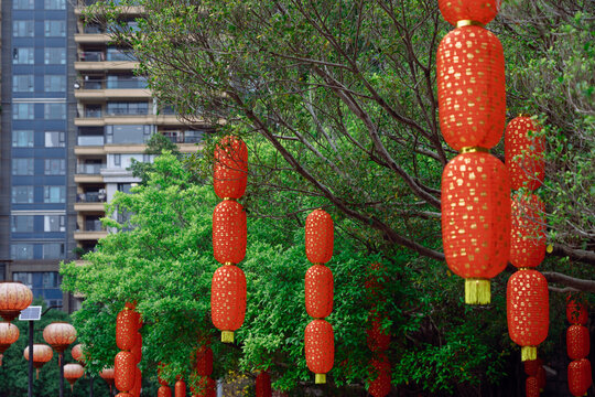 Colorful Lanterns Hang in the Trees in a City Park During the Festival