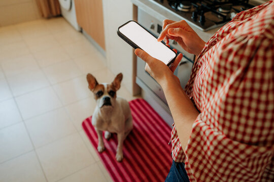 Close up of ordering groceries online via smartphone at home