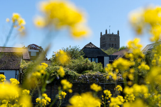 Abbey framed by yellow flowers
