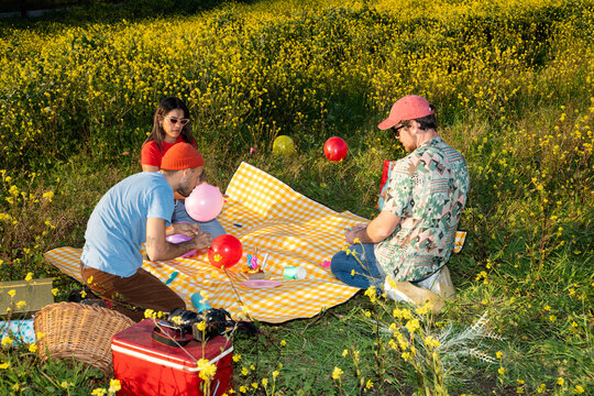 Friends Enjoy a Picnic With Balloons in a Flower Field 
