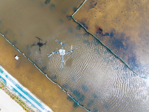 Drone feeding over aquaculture fish ponds from aerial view