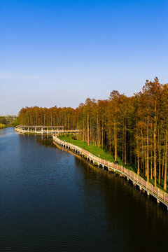 Aerial View of Canal Cutting Through Autumn Forest