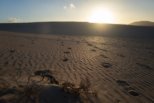 Footprints on sand dunes at sunset in Fuerteventura