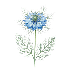 Obraz premium Watercolor Wildflower Clip Art