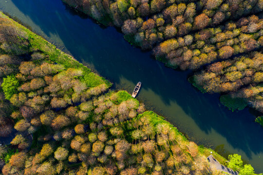 Top Down Aerial View of Canal Cutting Through Autumn Forest