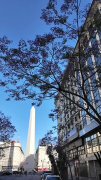 The violet jacaranda trees and buildings of Roque Saenz Pe&ntilde;a Avenue with the Obelisk in the background on a sunny day in Buenos Aires Argentina.