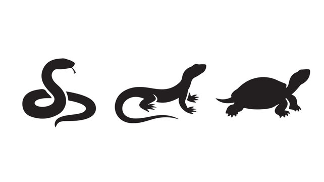 Black silhouettes of snake, lizard, and turtle on white background for reptile and wildlife concepts