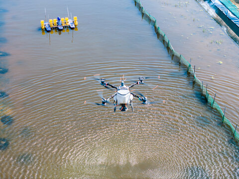 Drone feeding over aquaculture fish ponds from aerial view