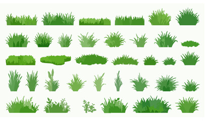 Green Grass Isolated Vector Illustration Collection for Nature and Landscape Design © Mdyounus
