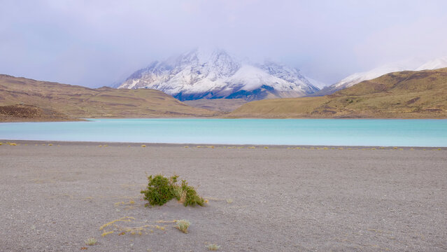 an early morning shot of the shoreline of laguna amarga at torres del paine national park in patagonia, chile