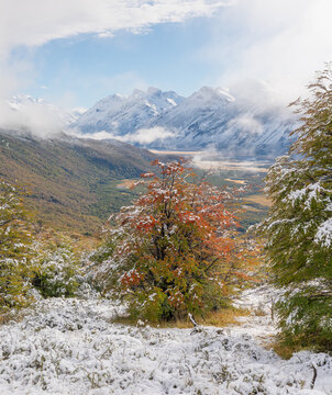 an autumn morning shot of beech trees covered in fresh snow with the las vueltas river valley at los glaciares national park of argentina