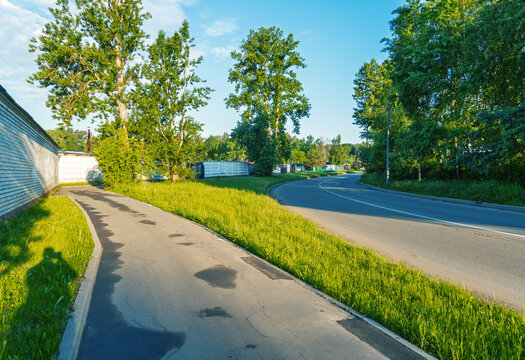 Quiet suburban road with bike path and green trees at golden hour
