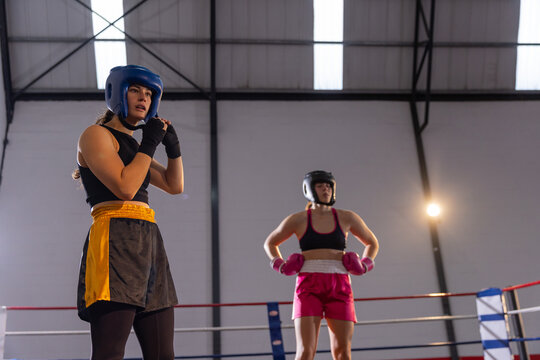 Two female boxers adjusting headgear and standing in elevated boxing ring with gloves, copy space