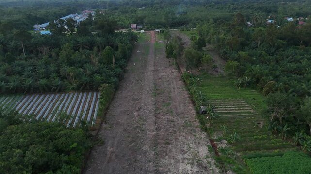 An aerial view showing the path of rainforest deforestation and the cleared land surrounded by patches of farmland.