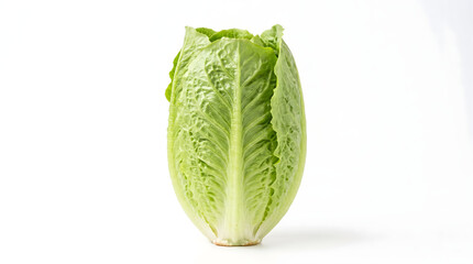 Fototapeta premium Fresh green romaine lettuce head standing isolated on a clean white background