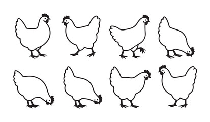 Set of line art chicken poses including standing and pecking birds for poultry farm design. © VANU
