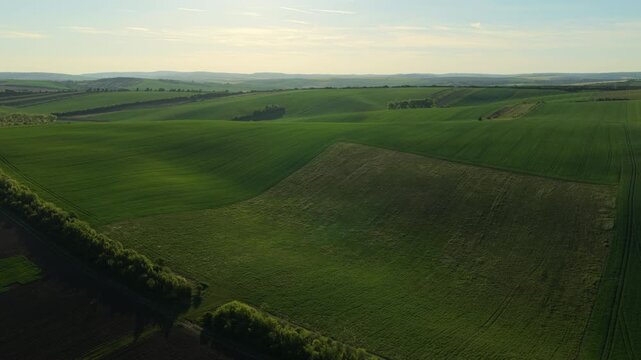 Aerial drone view of vast green rolling farmland with scattered tree clusters and layered hills stretching to a distant horizon, Moravia, Czech Republic.