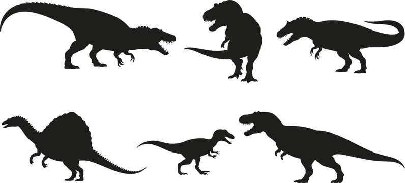 Silhouette illustration of theropod dinosaurs including Tyrannosaurus and Spinosaurus for prehistoric, paleontology, and educational design projects