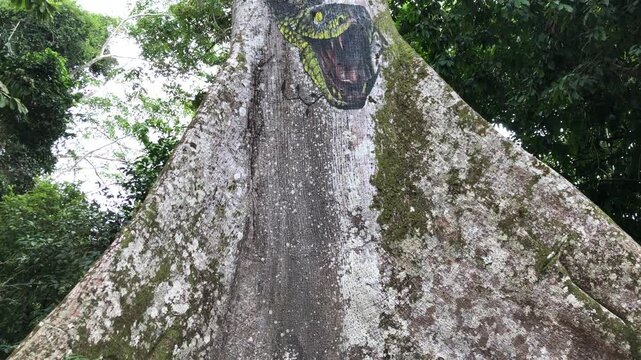 Ancient Tree Trunk