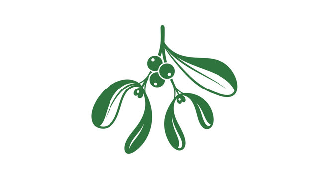 Mistletoe leaves and green berries.