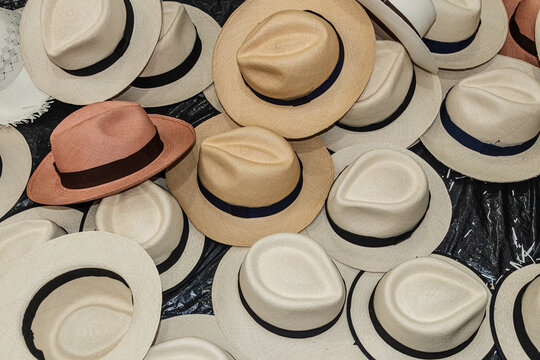 Traditional Ecuadorian Panama hats made of toquilla straw on display in Cuenca, Ecuador